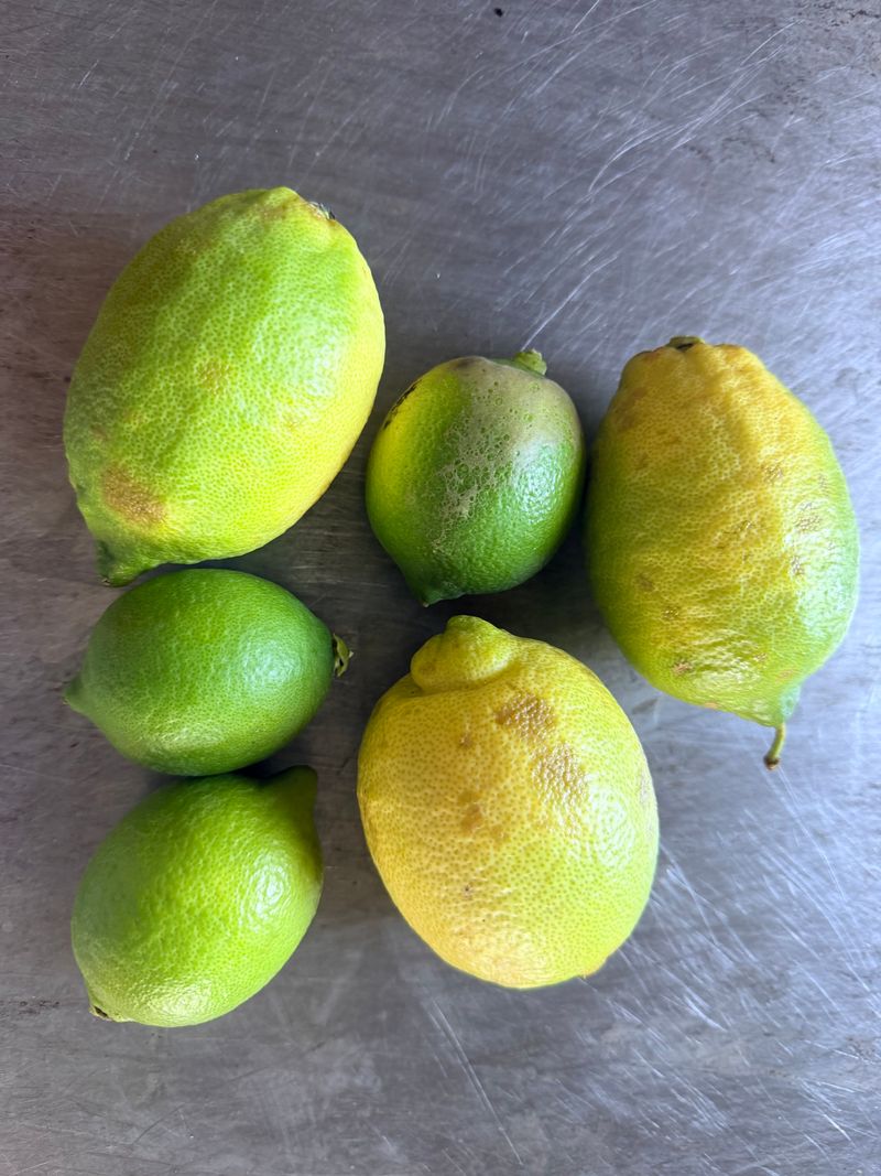 장터 상품 [청정제주 레몬 못난이] 썸네일