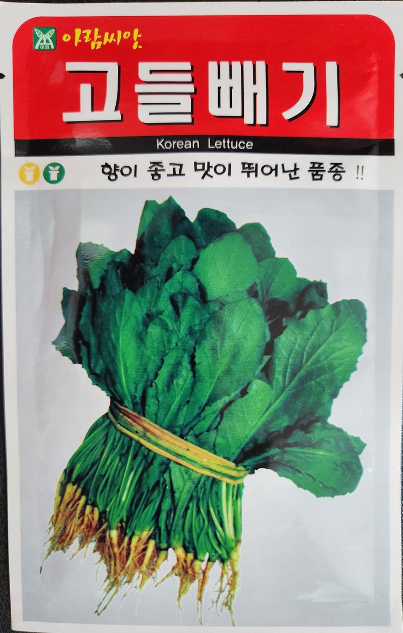안산제일농약사님의 장터 판매 상품 [고들빼기씨앗 5만립 남은수량특가] 첨부 사진