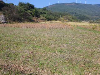 콩사랑님의 자유주제 · 자유게시판 작성글 사진