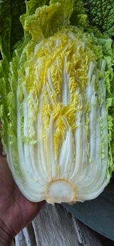 팜모닝 자유주제·자유게시판 게시글 이미지