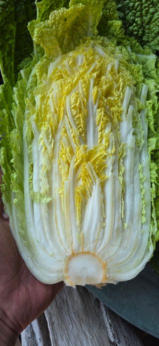 삽질왕님의 자유주제 · 자유게시판 작성글 사진