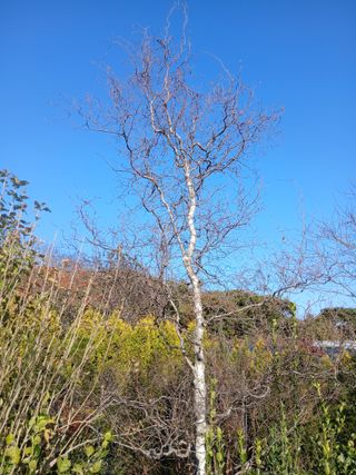 무료지식나눔 팜닥터님의 자유주제 · 자유게시판 작성글 사진