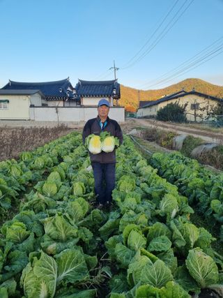 이호님의 자유주제 · 자유게시판 작성글 사진