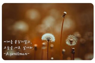 젠틀맨님의 자유주제 · 자유게시판 작성글 사진