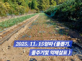 박성민님의 자유주제 · 자유게시판 작성글 사진