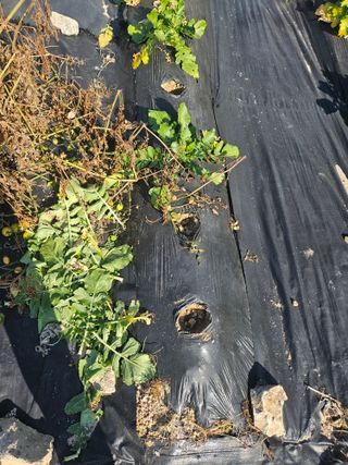 강희상님의 자유주제 · 자유게시판 작성글 사진