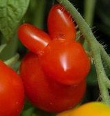 팜모닝 자유주제·자유게시판 게시글 이미지