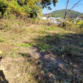 이창화님의 자유주제 · 자유게시판 작성글 사진