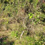 팜모닝 자유주제·자유게시판 게시글 이미지