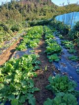 팜모닝 자유주제·건의해요 게시글 이미지