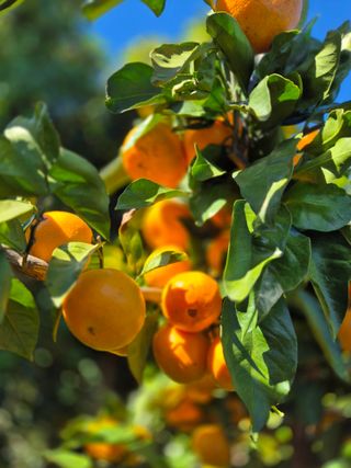 원경님의 자유주제 · 사진전 작성글 사진