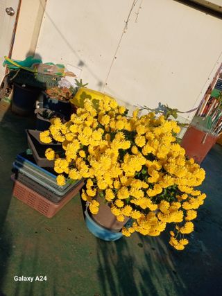 강성흔목사 님의 자유주제 · 자유게시판 작성글 사진