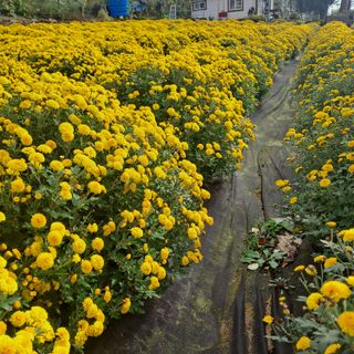 정강화님의 자유주제 · 자유게시판 작성글 사진