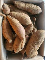 팜모닝 자유주제·자유게시판 게시글 이미지