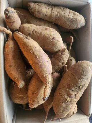 추녹이님의 자유주제 · 자유게시판 작성글 사진