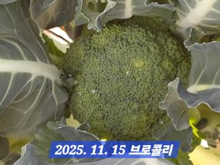 박성민님의 자유주제 · 자유게시판 작성글 사진