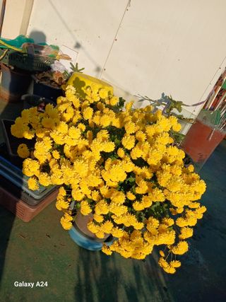 강성흔목사 님의 자유주제 · 자유게시판 작성글 사진