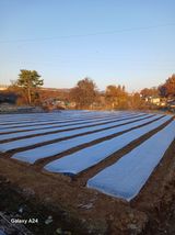 팜모닝 자유주제·자유게시판 게시글 이미지