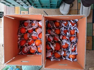 김년욱님의 자유주제 · 자유게시판 작성글 사진