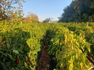 홍순오님의 자유주제 · 자유게시판 작성글 사진