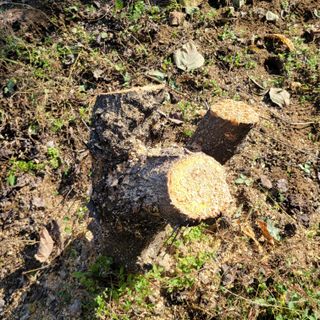 이창화님의 자유주제 · 자유게시판 작성글 사진