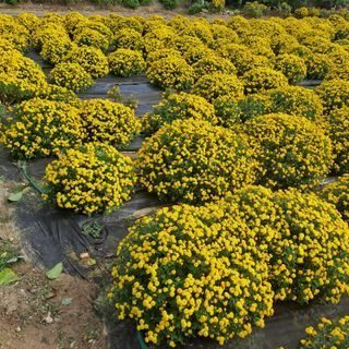 정강화님의 자유주제 · 자유게시판 작성글 사진