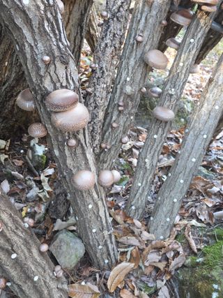배추12035.부남님의 작성글 사진