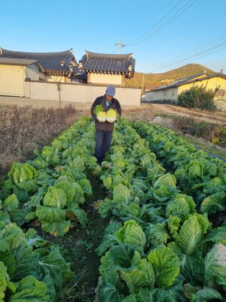 이호님의 자유주제 · 자유게시판 작성글 사진