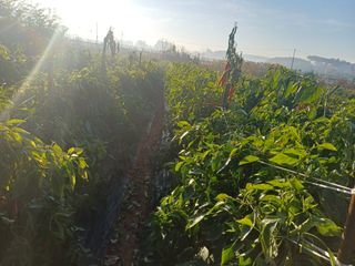 홍순오님의 자유주제 · 자유게시판 작성글 사진