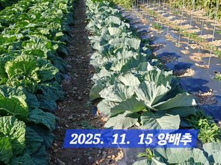 박성민님의 자유주제 · 자유게시판 작성글 사진