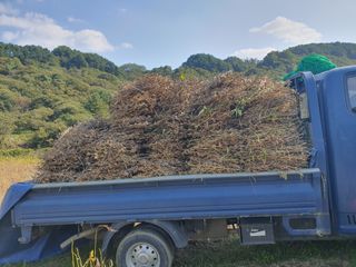 콩사랑님의 자유주제 · 자유게시판 작성글 사진