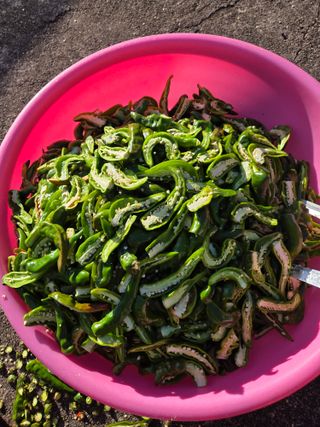 knlee님의 자유주제 · 자유게시판 작성글 사진