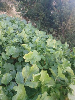 正覺님의 자유주제 · 자유게시판 작성글 사진