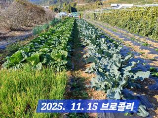 박성민님의 자유주제 · 자유게시판 작성글 사진