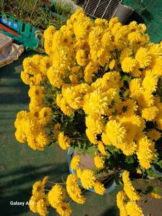 강성흔목사 님의 자유주제 · 자유게시판 작성글 사진