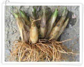 황덕순 님의 자유주제 · 자유게시판 작성글 사진