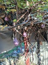 팜모닝 자유주제·자유게시판 게시글 이미지