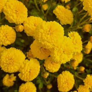 정강화님의 자유주제 · 자유게시판 작성글 사진