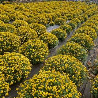 정강화님의 자유주제 · 자유게시판 작성글 사진