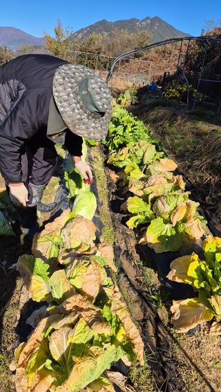 이애숙님의 자유주제 · 건의해요 작성글 사진