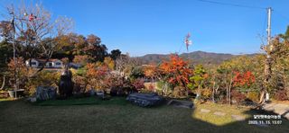 달맛햇복숭아농원님의 자유주제 · 자유게시판 작성글 사진