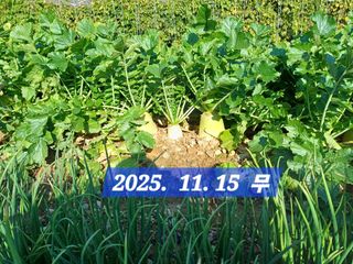 박성민님의 자유주제 · 자유게시판 작성글 사진