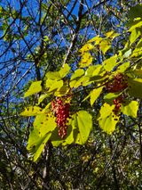 팜모닝 자유주제·자유게시판 게시글 이미지