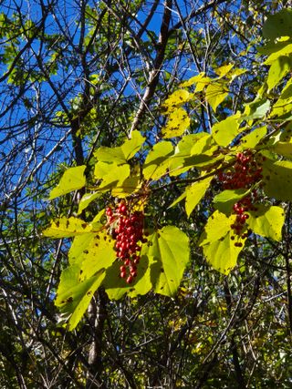 진문거사님의 자유주제 · 자유게시판 작성글 사진