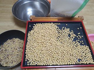 콩사랑님의 자유주제 · 자유게시판 작성글 사진