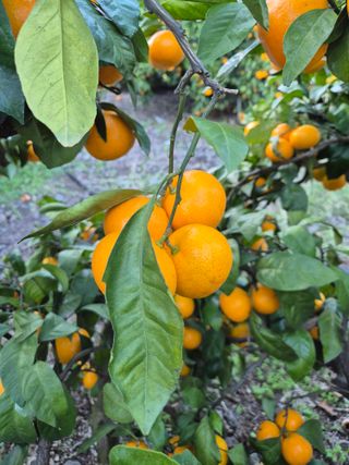 원경님의 자유주제 · 사진전 작성글 사진