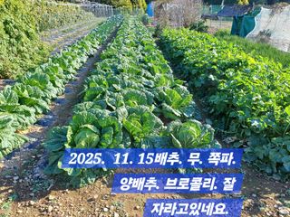 박성민님의 자유주제 · 자유게시판 작성글 사진