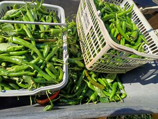 홍순오님의 자유주제 · 자유게시판 작성글 사진