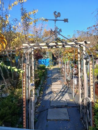 무료지식나눔 팜닥터님의 자유주제 · 자유게시판 작성글 사진