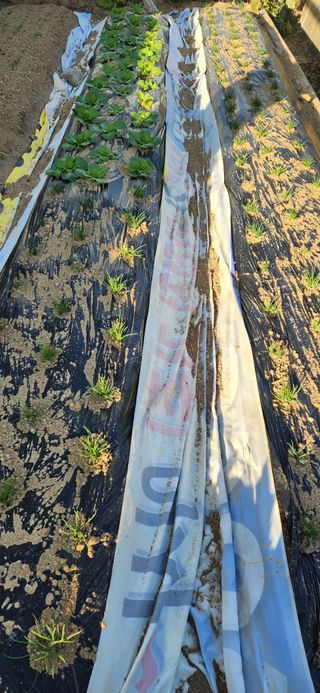 접시꽃님의 자유주제 · 자유게시판 작성글 사진